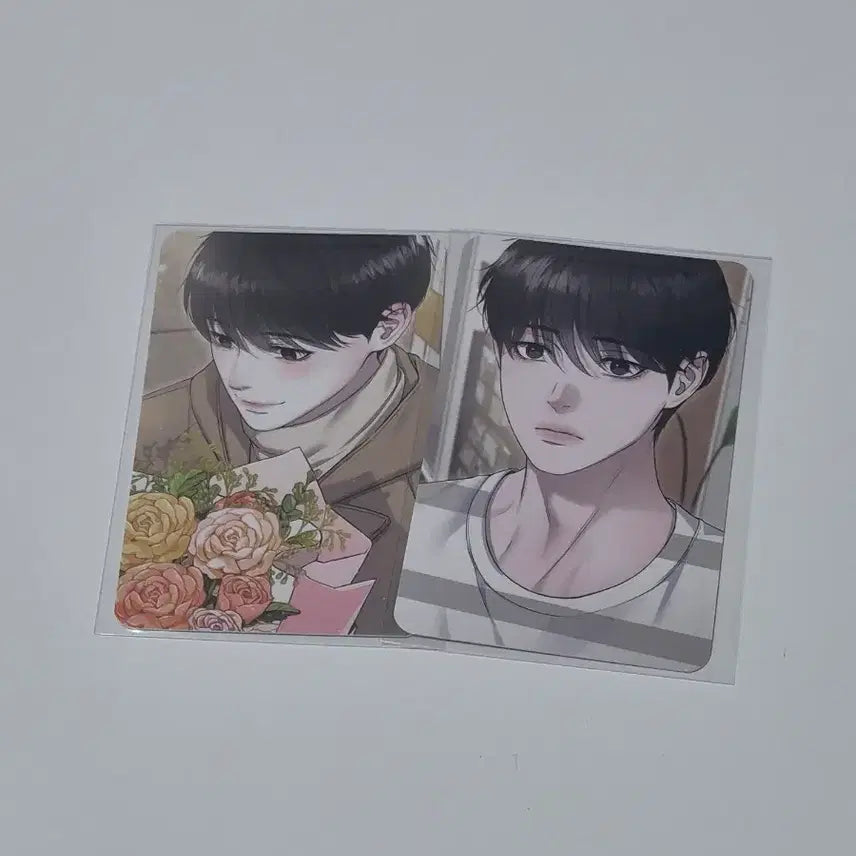 [BUNJANG] Diamond Dust Photocard Bundle Set / 일괄양도) 다이아몬드 더스트 포토카드 레봄 봄툰 레진 비온 판타지트 재이미 모펀