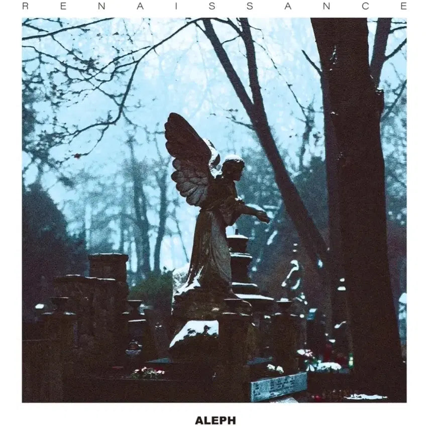 [BUNJANG] Aleph Apple Scent &amp; Renaissance LP Bundle Set (Sealed) / (미개봉) 알레프 사과향 + 르네상스 LP 일괄