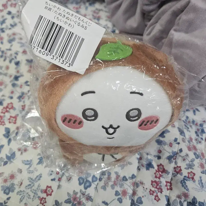 [BUNJANG] Chiikawa Tanukidamon Tanuki Plush / 치이카와 타누키다몽 타누키다몬 너구리 쿠지 B상 치이카와 누이구루미