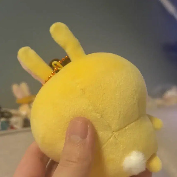 [BUNJANG] Pompompurin &amp; Usagi Mako Plush Doll / 폼폼푸린 우사기 마코