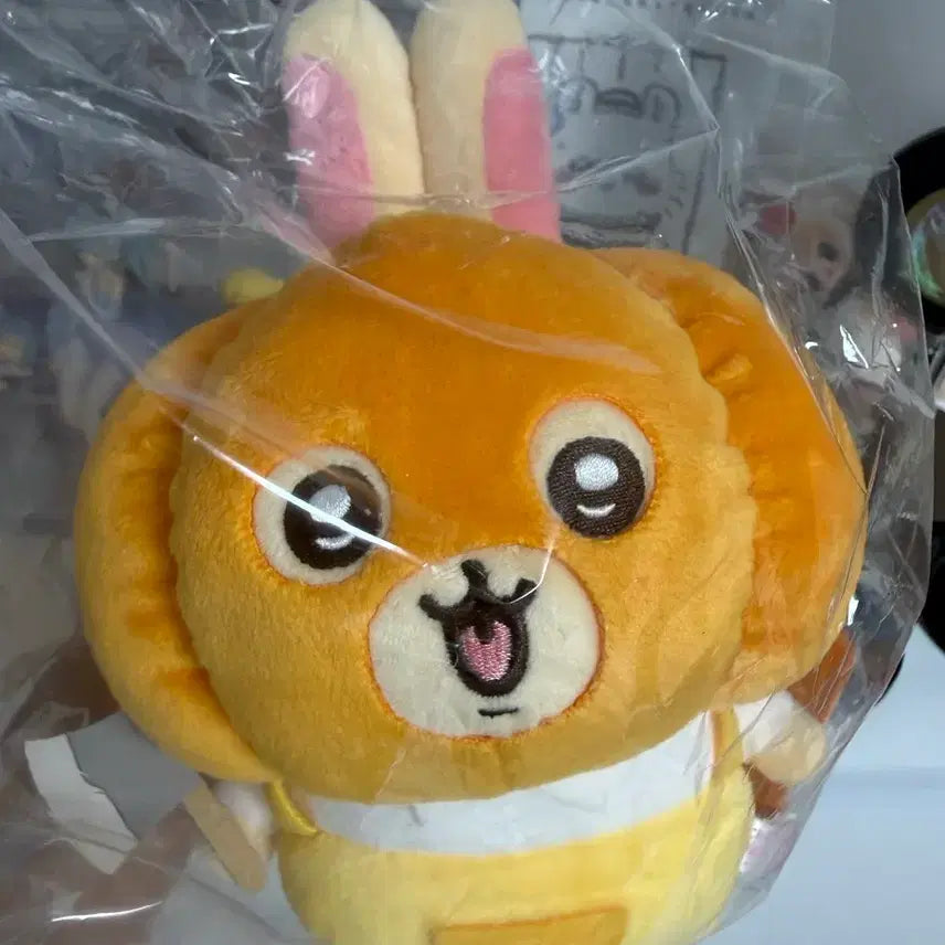 [BUNJANG] Chiikawa Park Halloween Pumpkin Usagi Plush S / 치이카와파크 할로윈 호박 우사기 인형 s