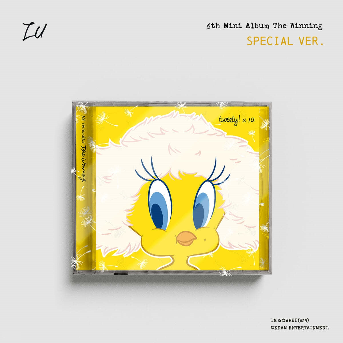 IU - 6th Mini 