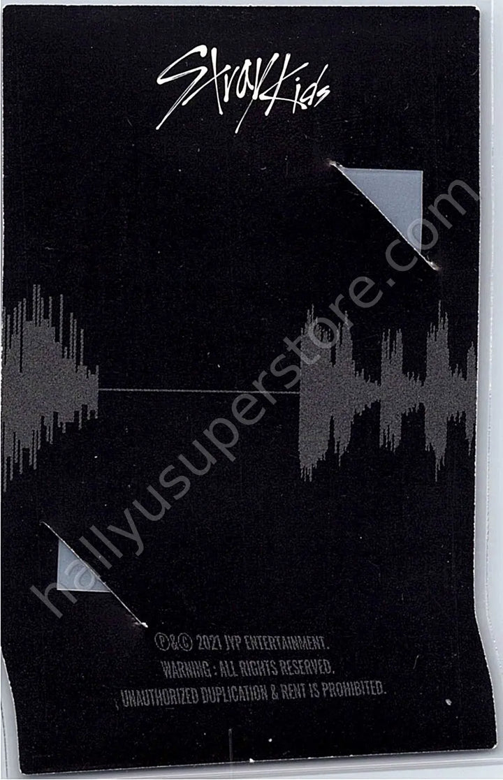 Stray Kids - Lee Know - NoEasy album photocard first press only frame photocard standard version