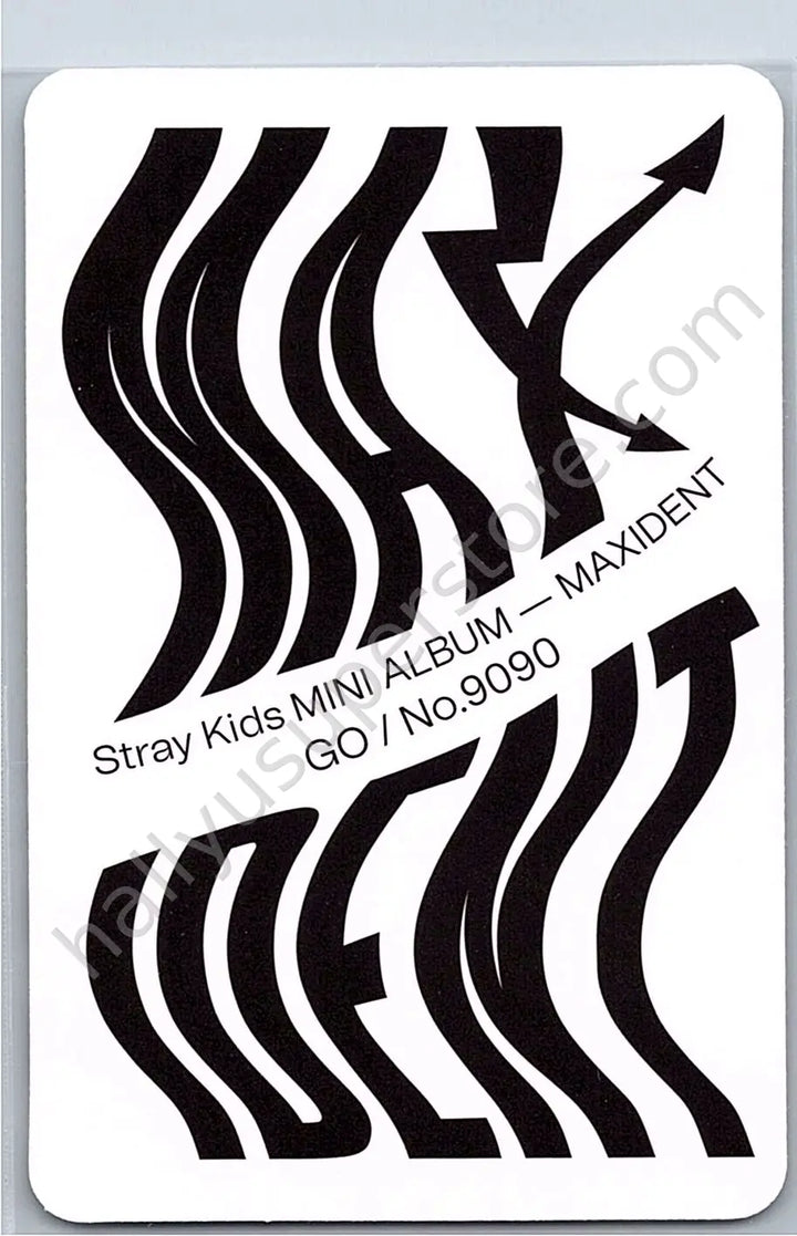 Stray Kids - Lee Know - Maxident album photocard go version