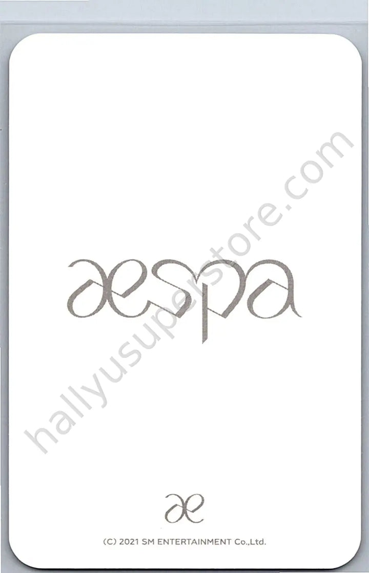aespa - Karina -  Next Level Album merch photocard keyring