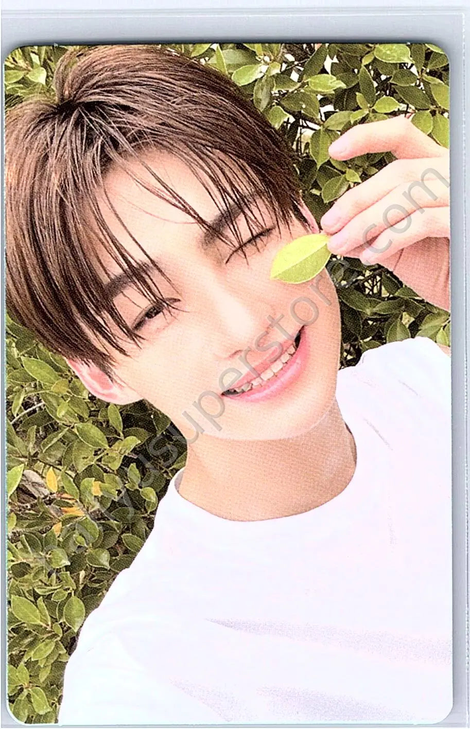 TWS - Jihoon - SUMMER BEAT!