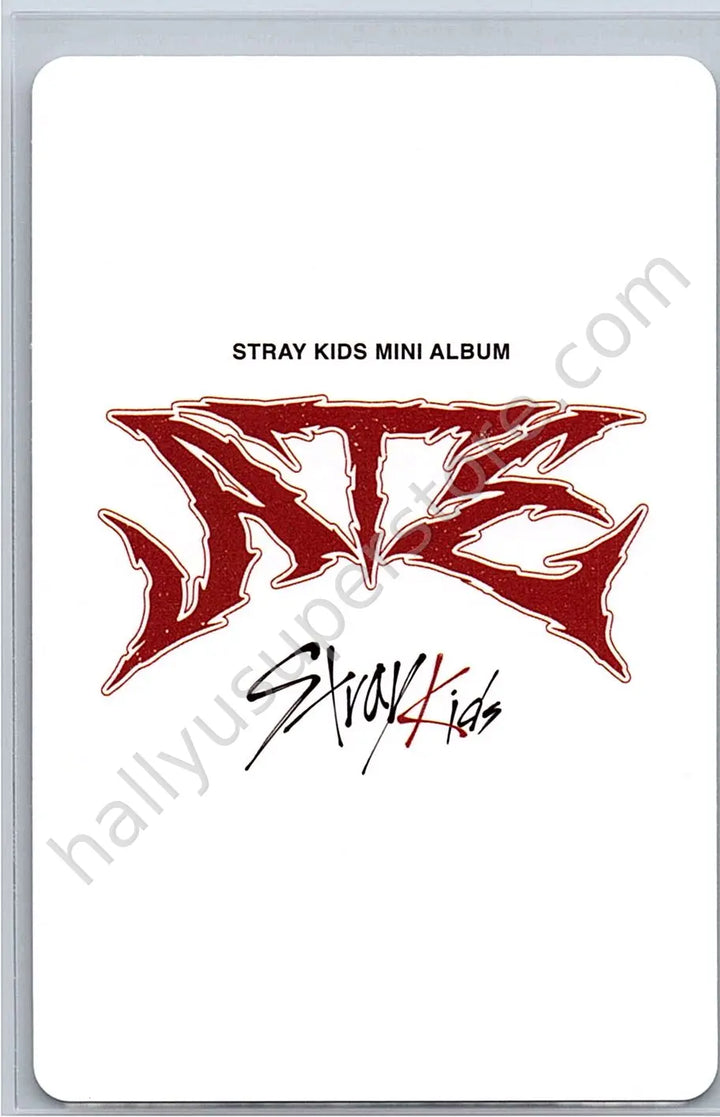 Stray Kids - Bang Chan - ATE album photocard B version nemo version random photocard
