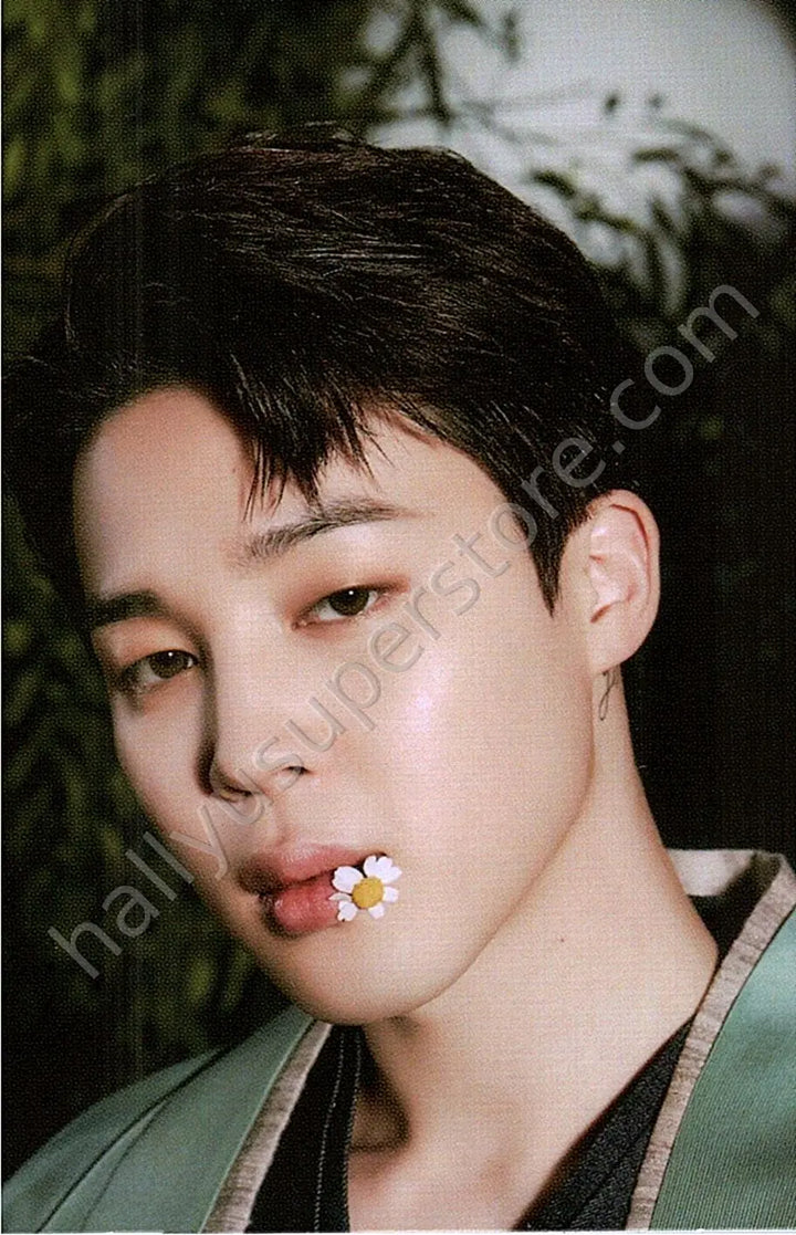 BTS - Jimin - Dalmajung 2022 6/6 mini photocard