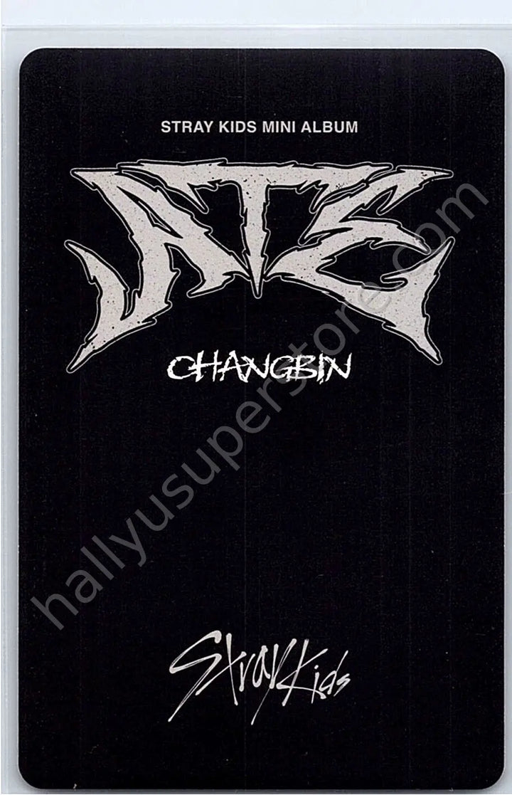 Stray Kids - Changbin - ATE A version album photocard nemo version photocard set