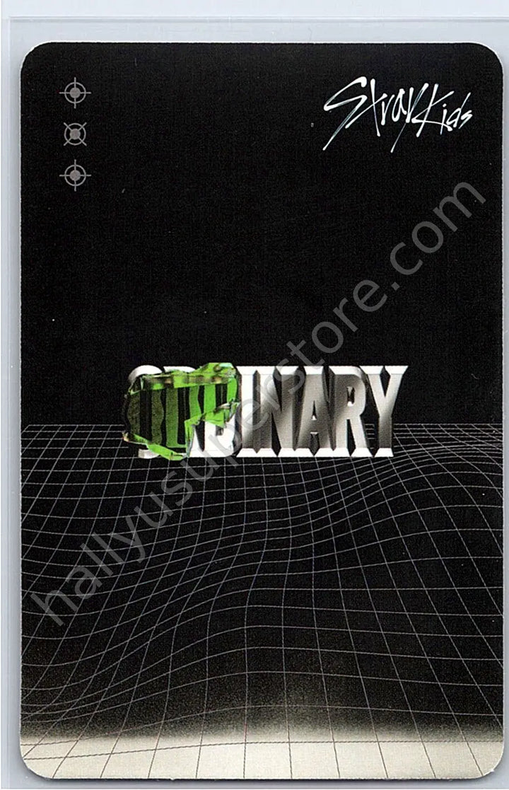 Stray Kids - I.N - Oddinary album photocard frankenstein version standard version