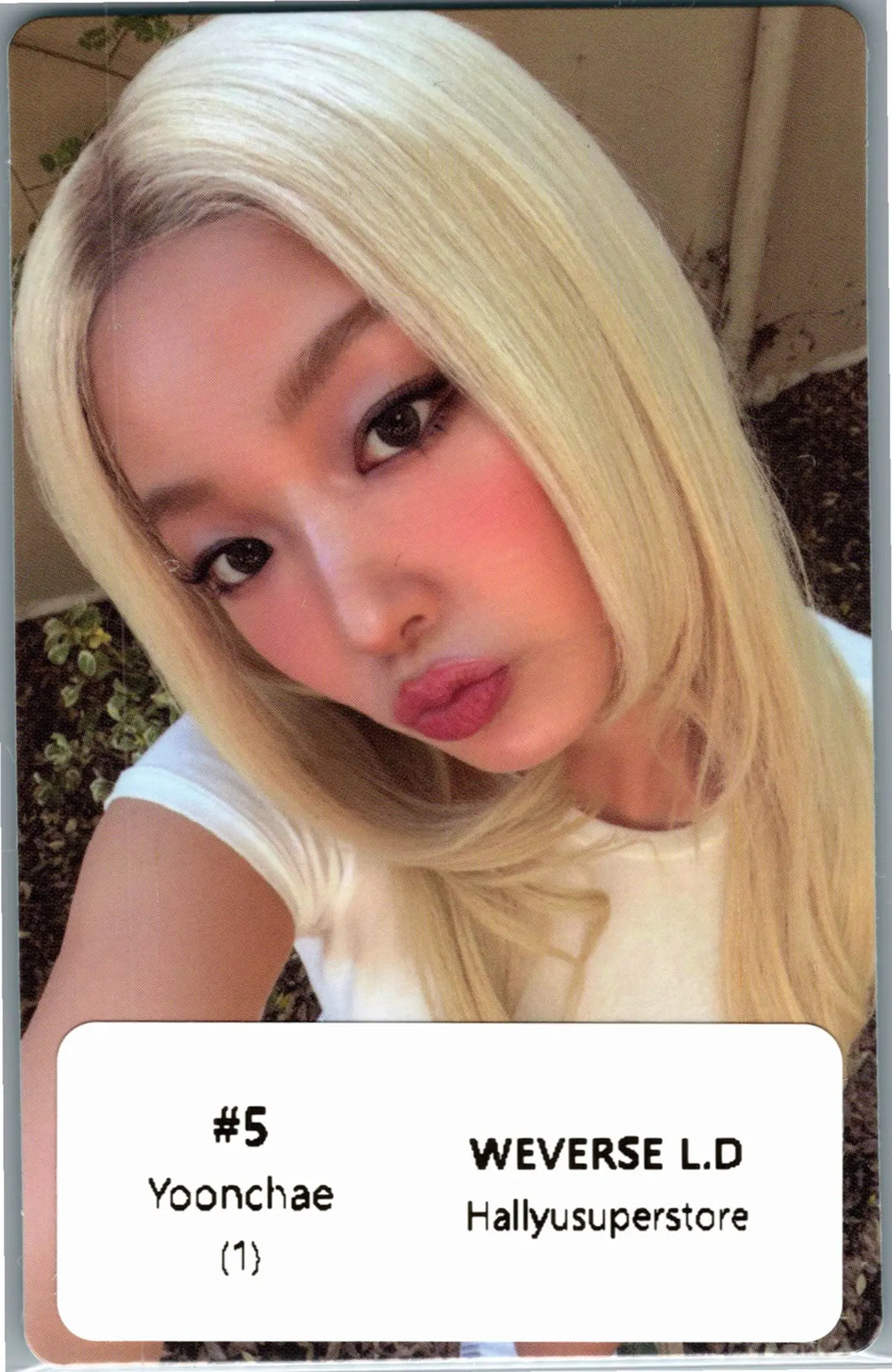 KATSEYE "WILD" - Weverse Shop Lucky Draw Event Photocard [26.08.18]