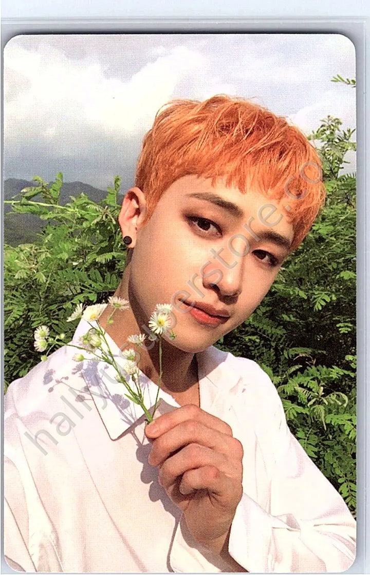 Stray Kids - Bang Chan - NoEasy album photocard first press only limited edition photocard set
