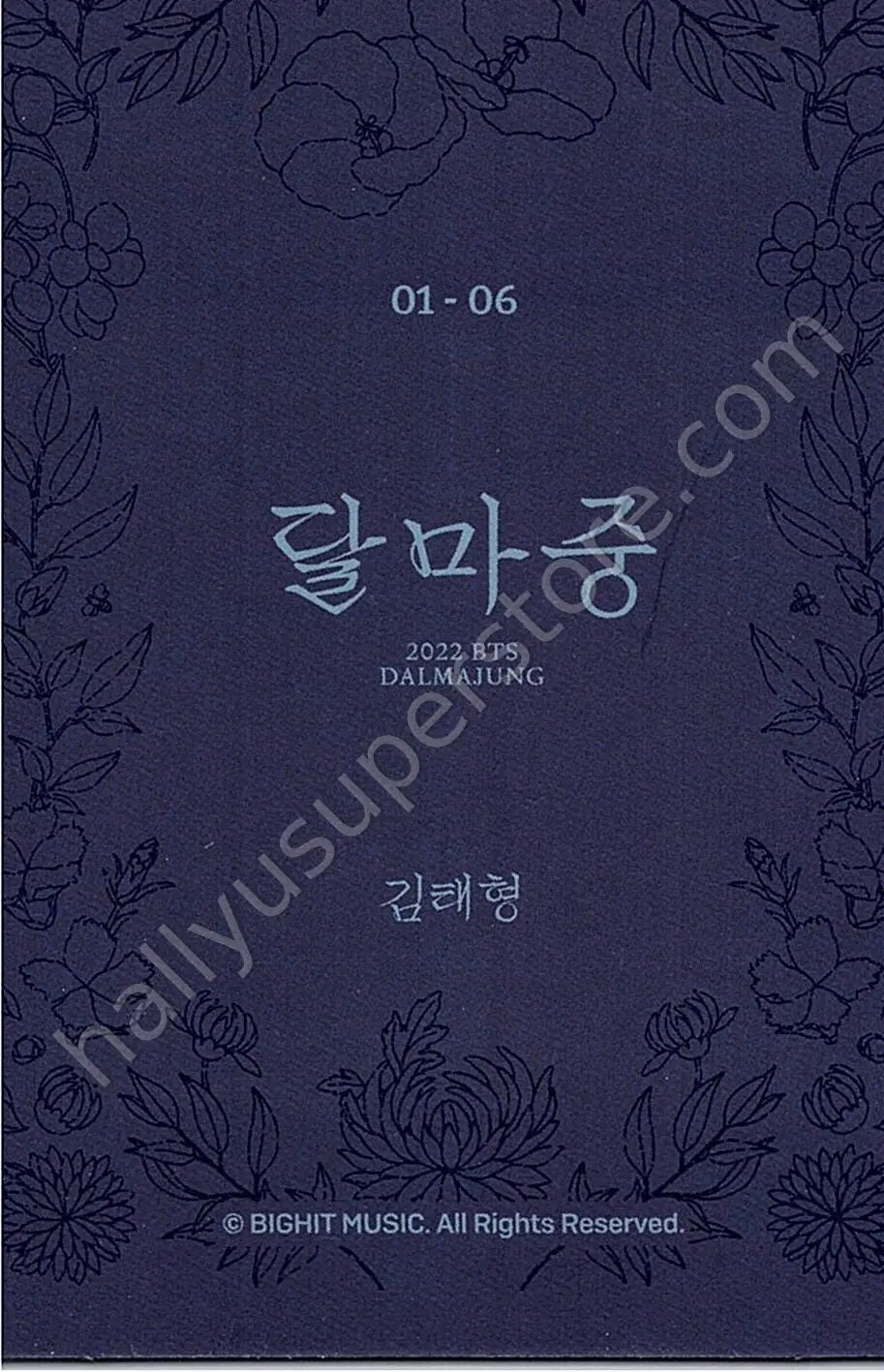 BTS - V - Dalmajung 2022 1/6 mini photocard