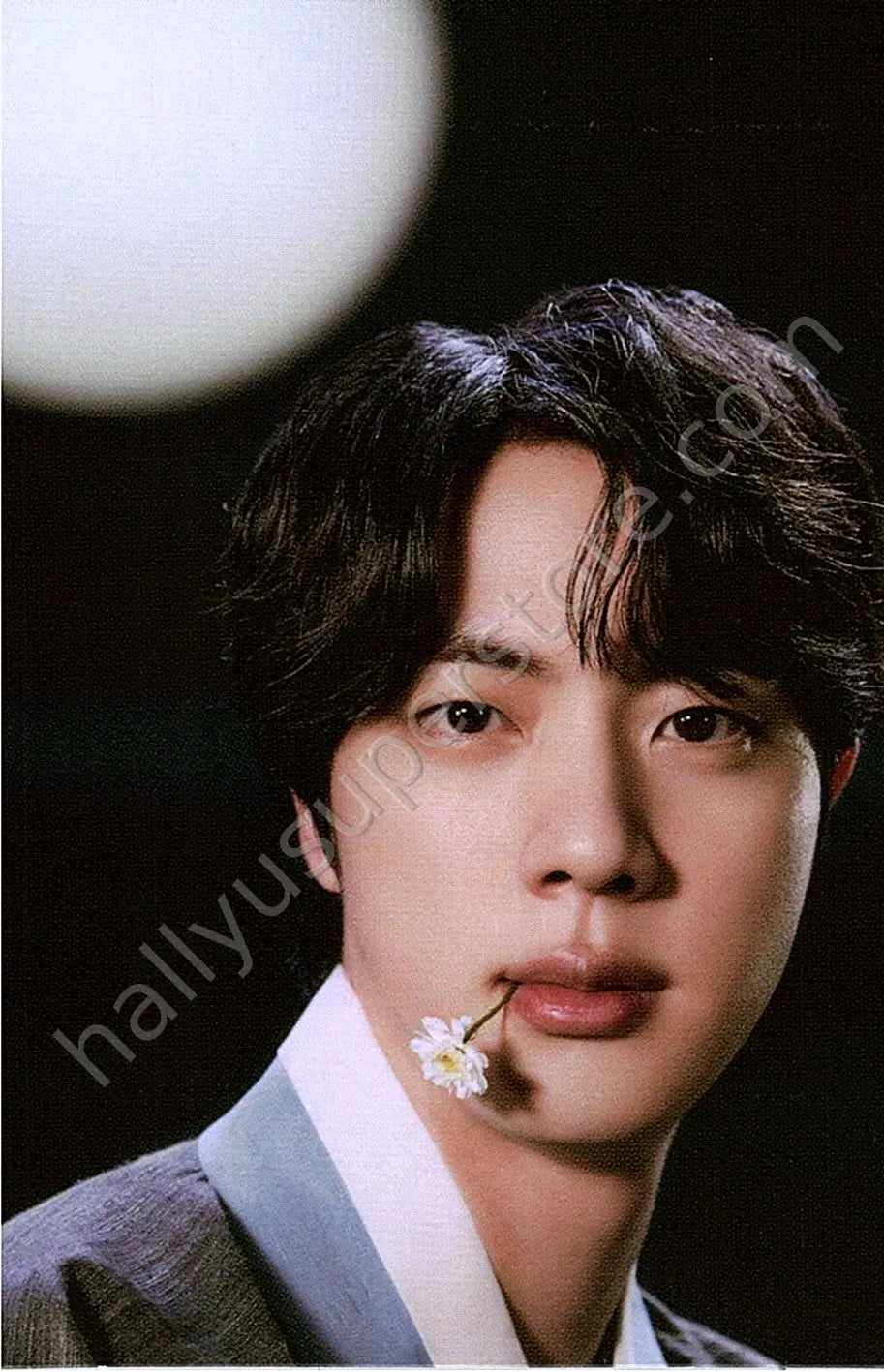 BTS - Jin - Dalmajung 2022 4/6 mini photocard