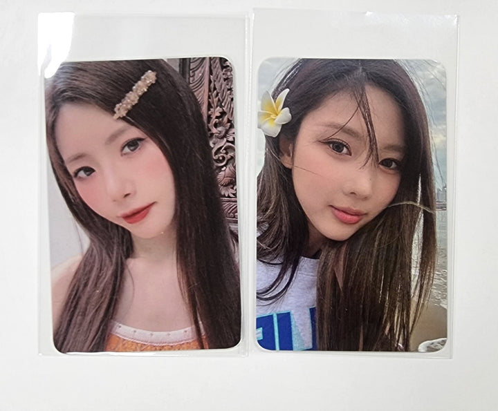 Dreamcatcher &