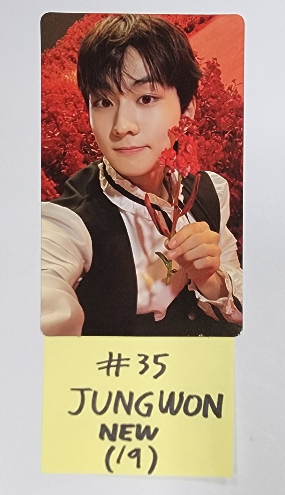 Enhypen "DARK BLOOD" - Official Photocard, Postacard Set (7EA) - HALLYUSUPERSTORE
