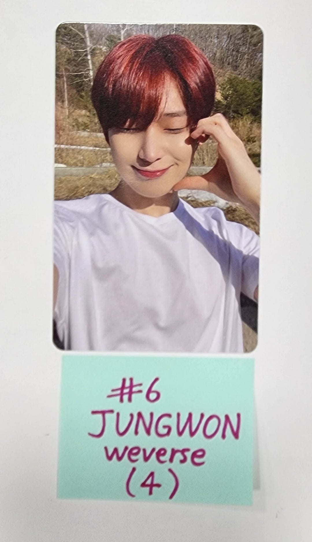 Enhypen "DARK BLOOD" - Show Case Live Weverse Shop Event Photocard - HALLYUSUPERSTORE