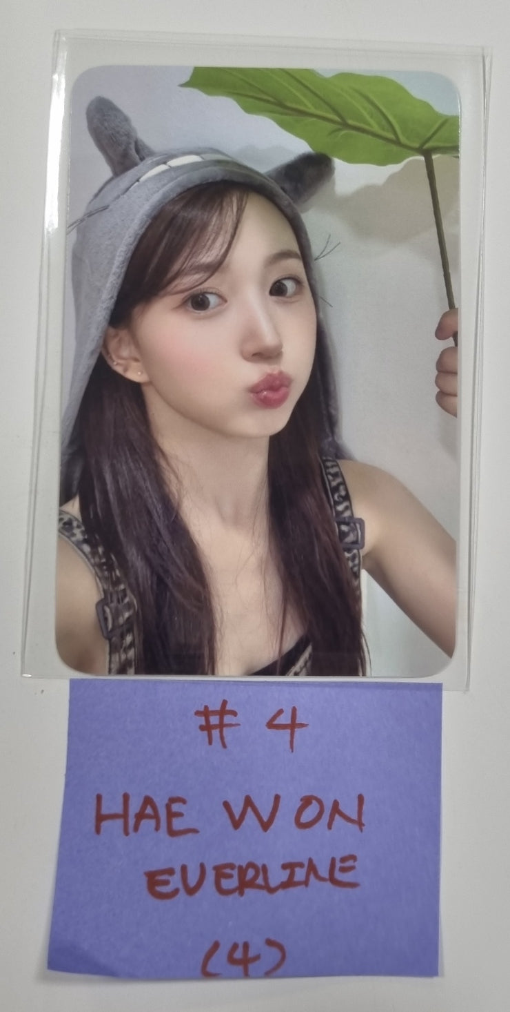NMIXX "A Midsummer NMIXX’s Dream" - Everline Special Fansign event Photocard, 4 x 6 Photo - HALLYUSUPERSTORE