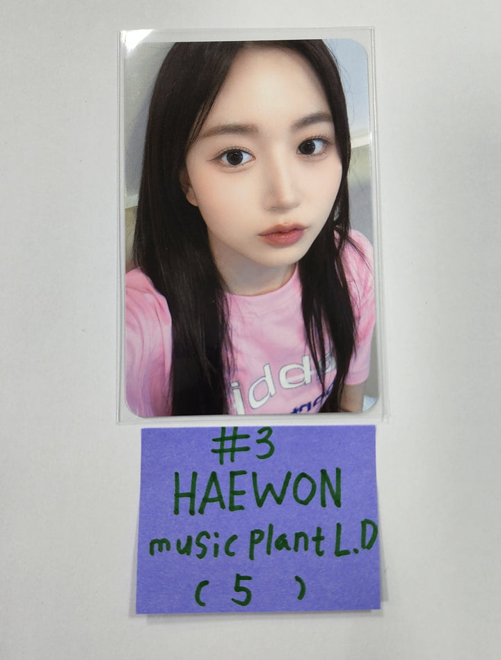NMIXX "A Midsummer NMIXX’s Dream" - Music Plant Lucky Draw Event Photocard - HALLYUSUPERSTORE