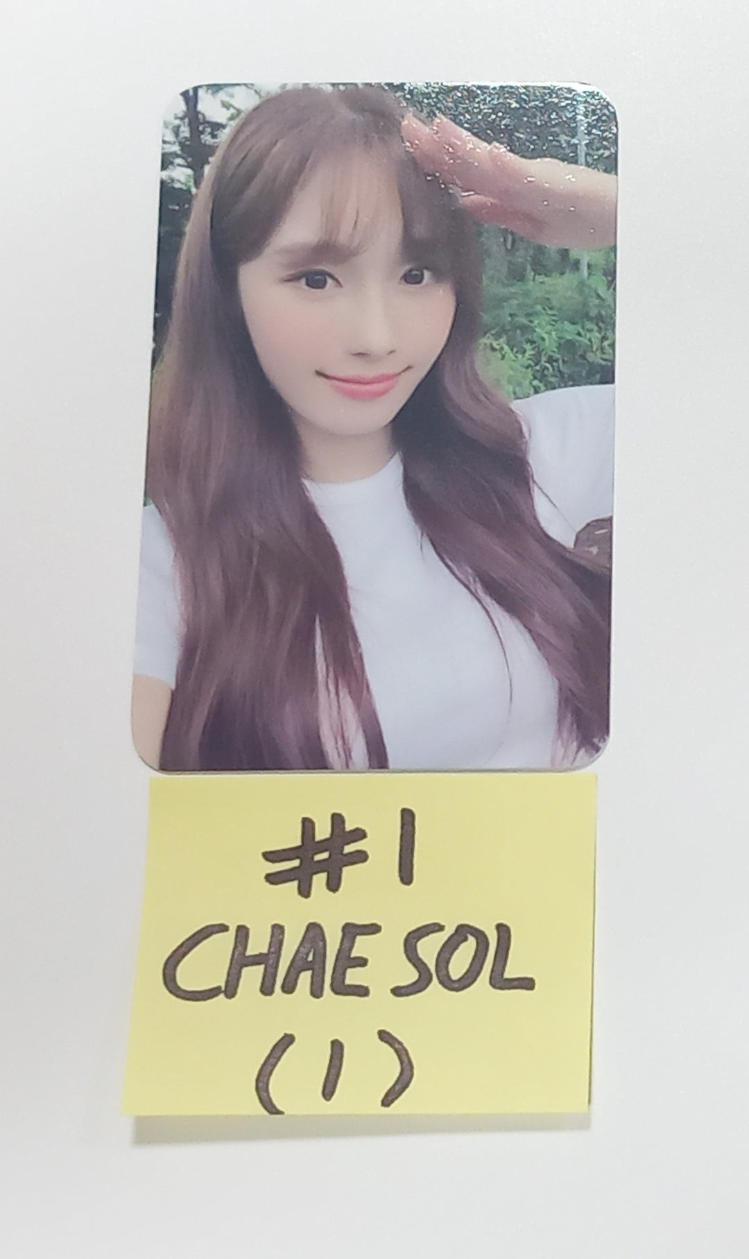 Cignature "Us in the Summer" - Official Photocard, Polaroid [23.09.13] - HALLYUSUPERSTORE