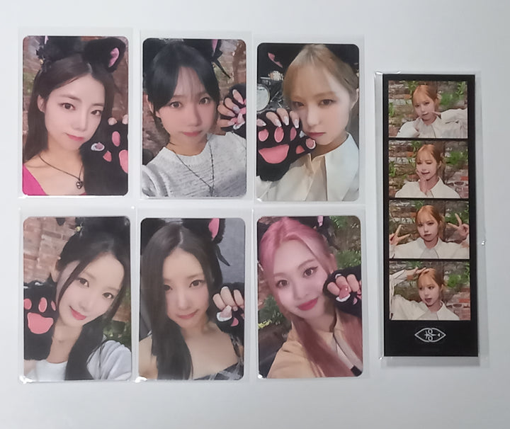 PURPLE KISS "FESTA" - Makestar Fansign Event Photocard, 4 Cut Photo Round 3 [23.10.05] - HALLYUSUPERSTORE