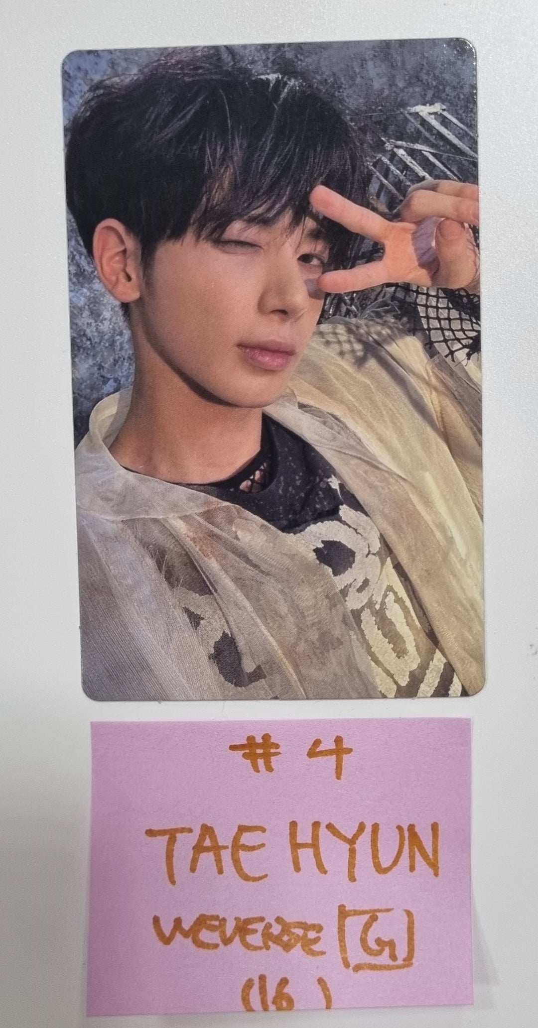 TXT "FREEFALL" - Weverse Shop Pre-Order Benefit Photocard [Gravity Ver.] [23.10.19] - HALLYUSUPERSTORE