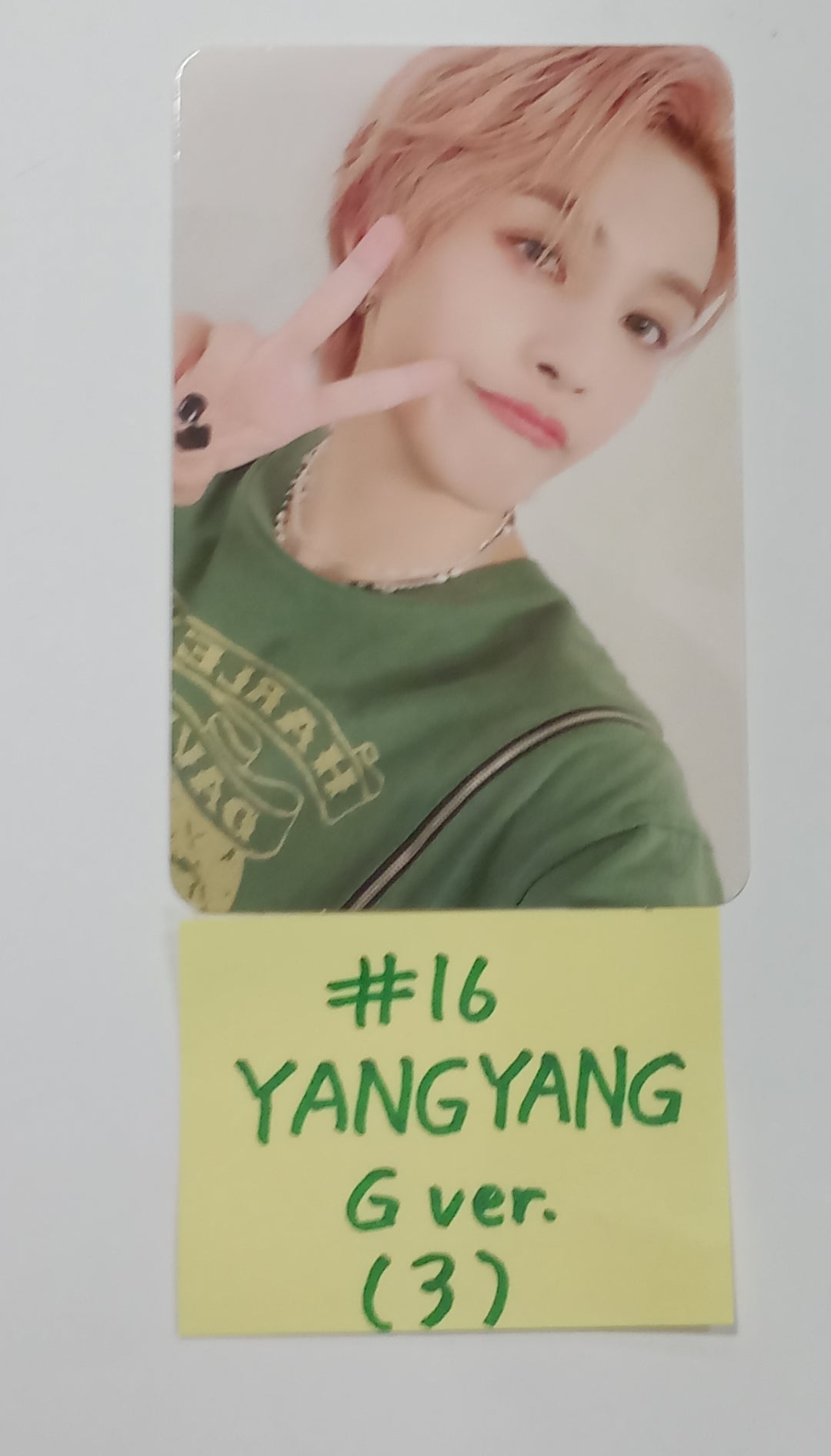 NCT - Nation 2023 Random Trading Photocard [GREEN Ver.] [23.10.23] - HALLYUSUPERSTORE
