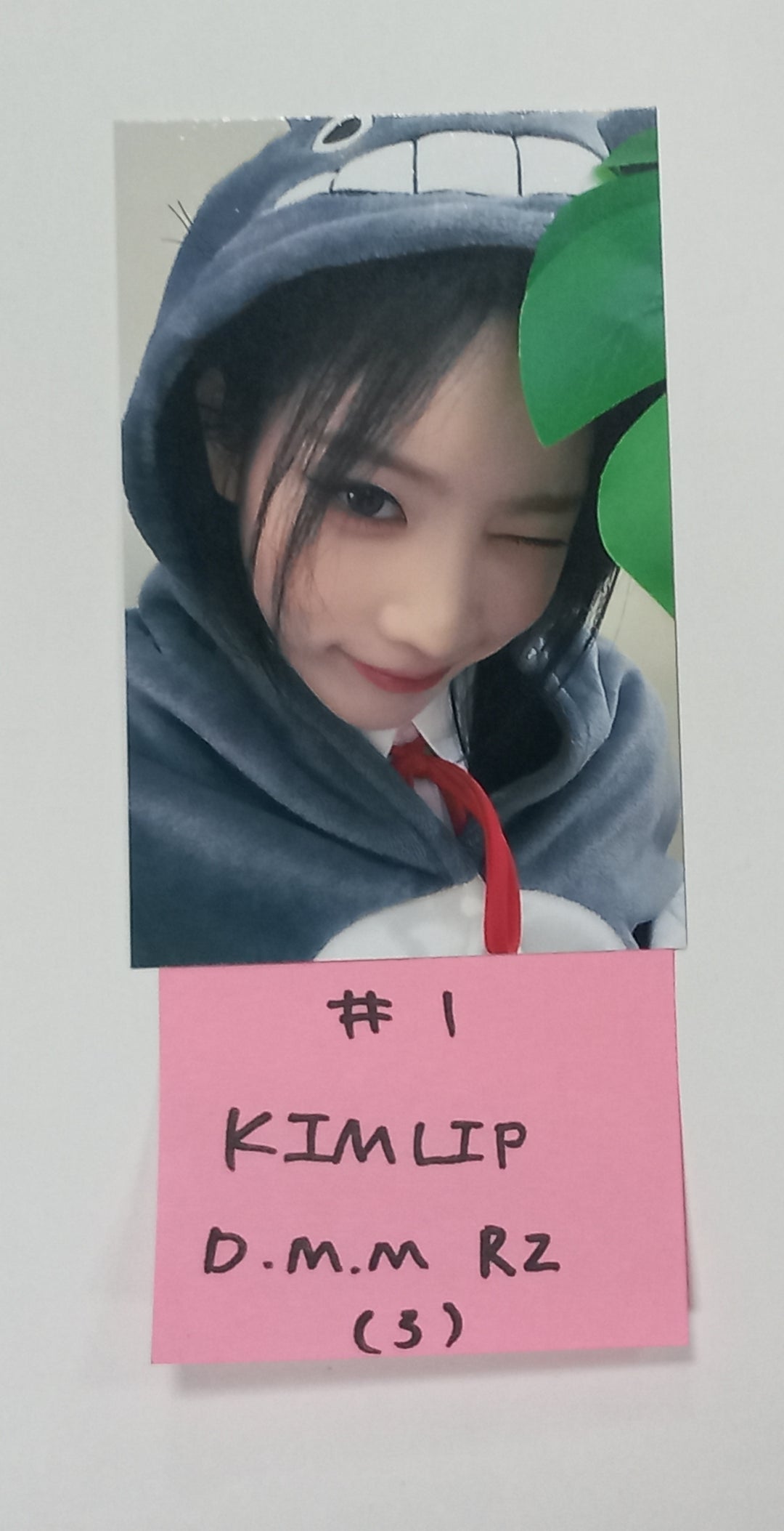 ODD EYE CIRCLE "Version Up"- Dear My Muse Fansign Event Photocard Round 7 [23.10.25] - HALLYUSUPERSTORE