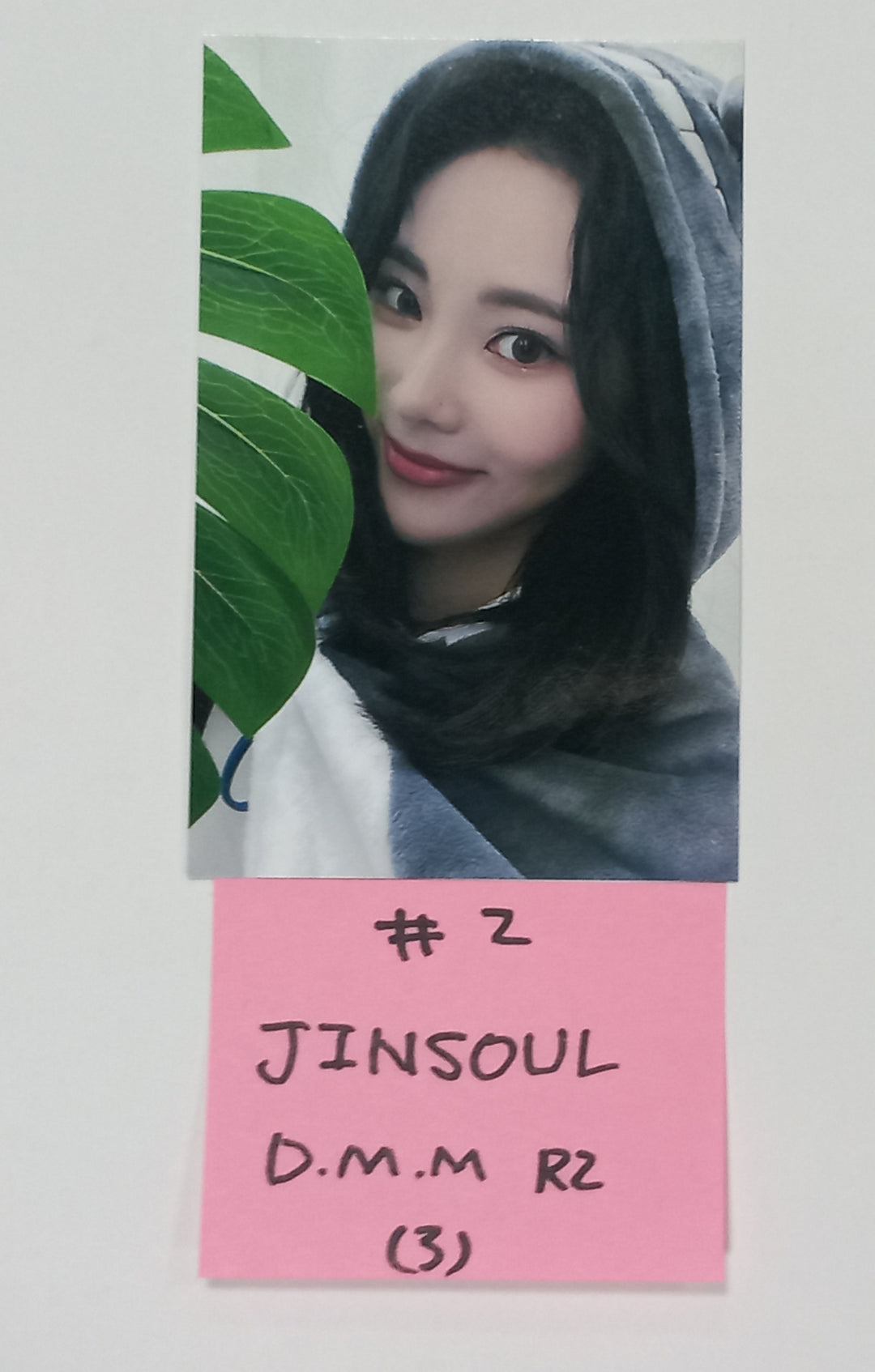 ODD EYE CIRCLE "Version Up"- Dear My Muse Fansign Event Photocard Round 7 [23.10.25] - HALLYUSUPERSTORE