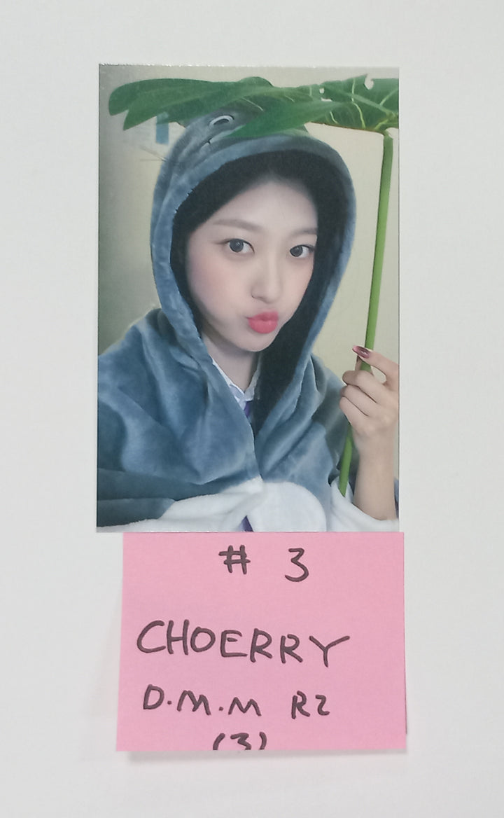 ODD EYE CIRCLE "Version Up"- Dear My Muse Fansign Event Photocard Round 7 [23.10.25] - HALLYUSUPERSTORE