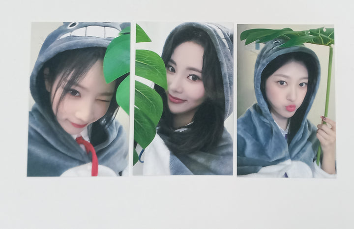 ODD EYE CIRCLE "Version Up"- Dear My Muse Fansign Event Photocard Round 7 [23.10.25] - HALLYUSUPERSTORE