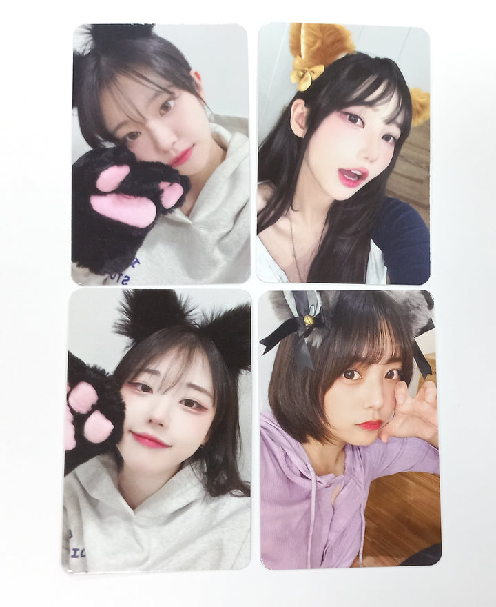 QWER "Harmony from Discord" - Makestar Fansign Event Photocard Round 2 [23.10.27] - HALLYUSUPERSTORE