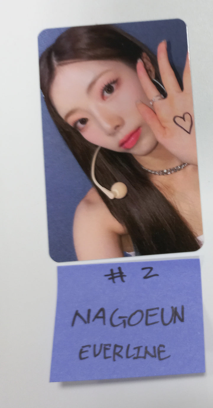 PURPLE KISS "FESTA" - Everline Fansign Event Photocard Round 2 [23.10.30] - HALLYUSUPERSTORE