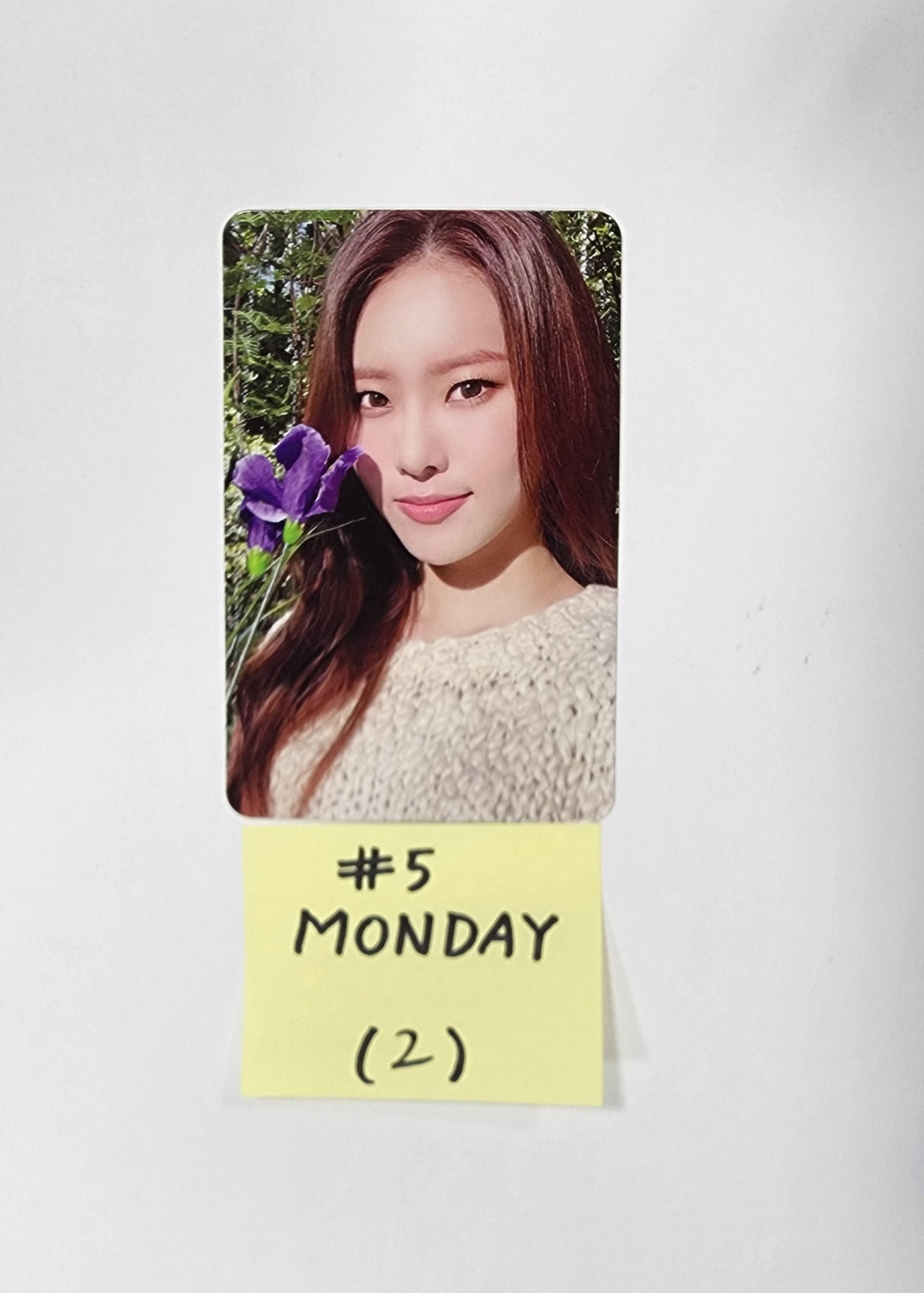 Weeekly 5th Mini "ColoRise" - Official Photocard (Lee Soojin, Monday, Park Soeun) [Updated 24.1.9] [23.11.02] - HALLYUSUPERSTORE