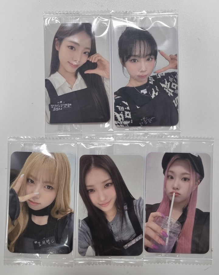 PURPLE KISS "FESTA" - Ktown4U Fansign Event Photocard [23.11.03] - HALLYUSUPERSTORE