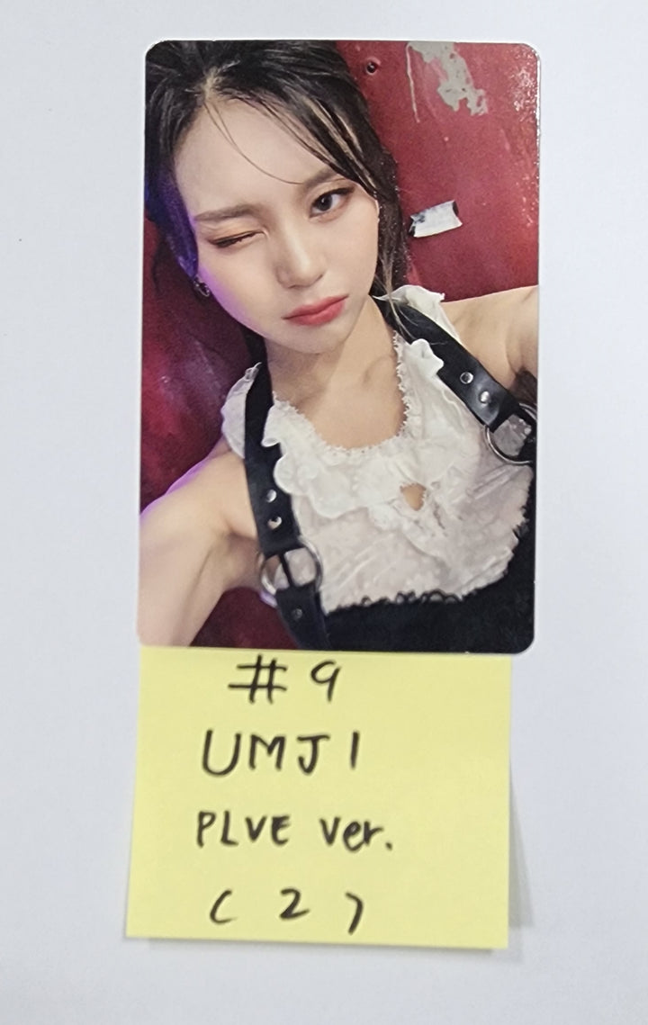 VIVIZ "VERSUS" - Official Photocard [PLVE Ver.] [23.11.03] - HALLYUSUPERSTORE
