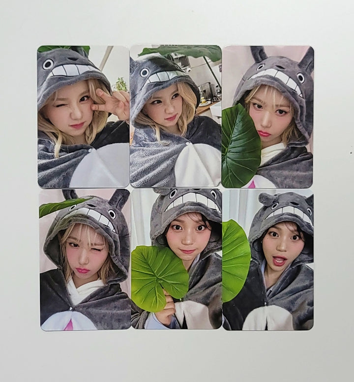 VIVIZ "VERSUS" - Everline Fansign Event Photocard [23.11.06] - HALLYUSUPERSTORE