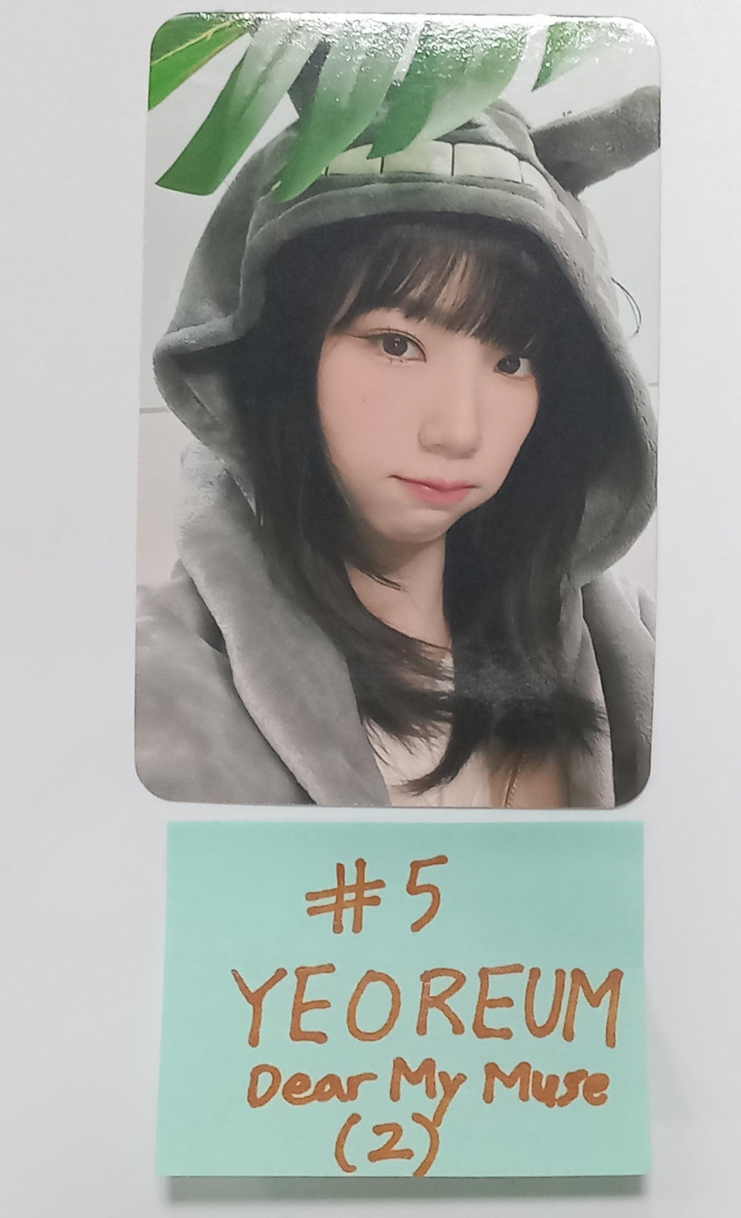 EL7Z U+P "7+UP" - Dear My Muse Fansign Event Photocard [23.11.16] - HALLYUSUPERSTORE