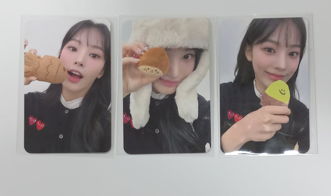 JINI "An Iron Hand In A Velvet Glove" - Everline Lucky Draw Event Photocard [23.12.08] - HALLYUSUPERSTORE