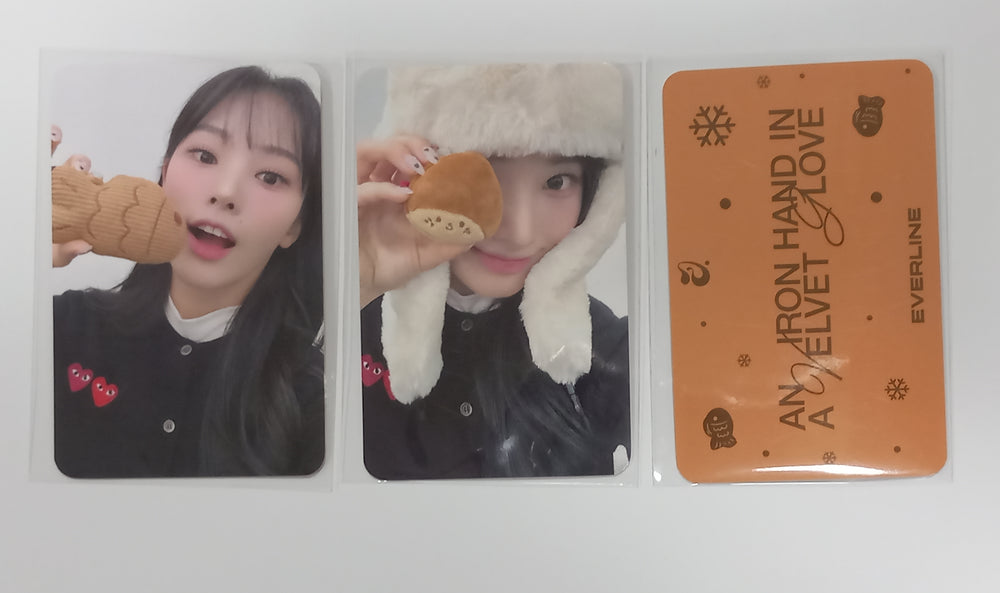 JINI "An Iron Hand In A Velvet Glove" - Everline Lucky Draw Event Photocard [23.12.08] - HALLYUSUPERSTORE