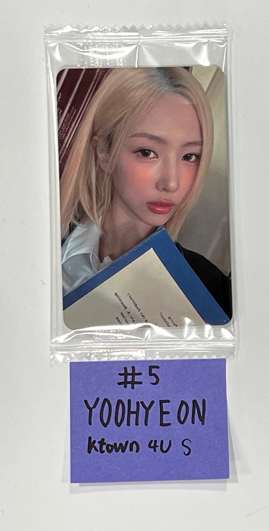 Dreamcatcher 2024 Season&