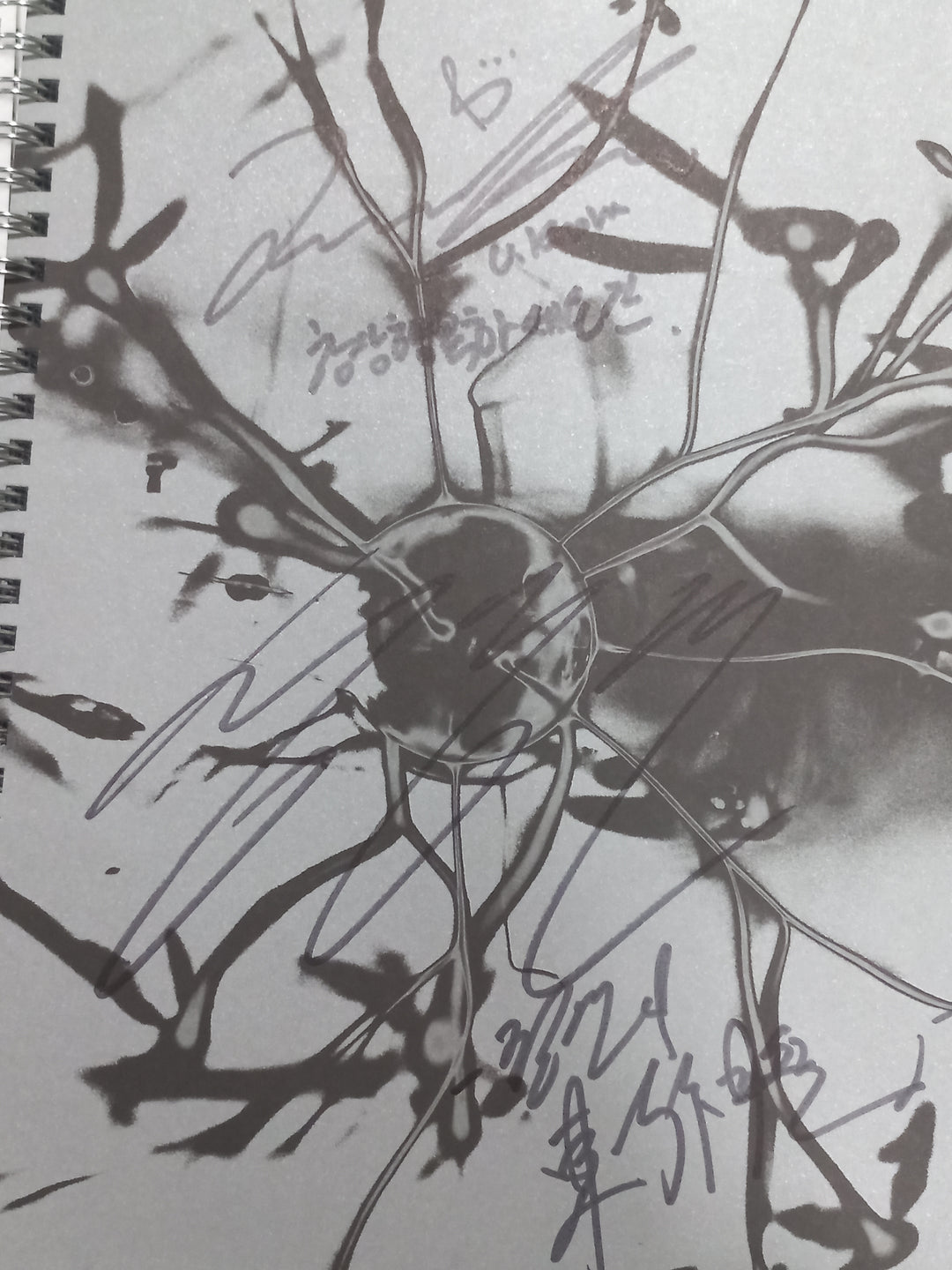 TVXQ! "20&amp;2" - Hand Autographed(Signed) Promo Album [24.1.18] (Restocked 1/19) - HALLYUSUPERSTORE