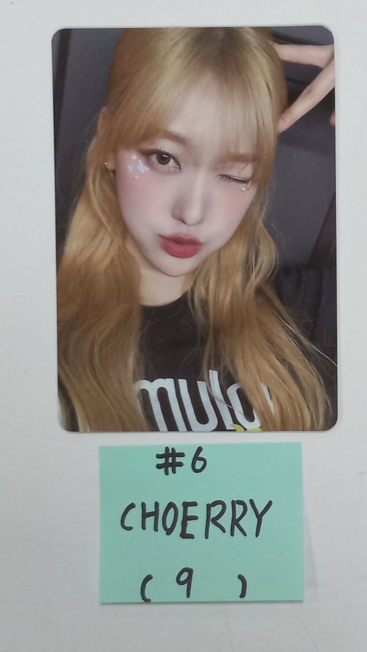 ODD EYE CIRCLE "2024 VOLUME UP" - Official Trading Mini Card [24.2.15] - HALLYUSUPERSTORE