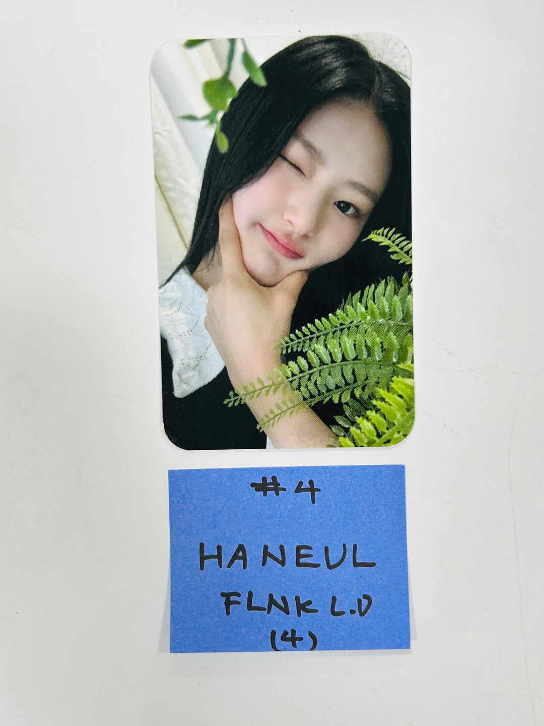KISS OF LIFE "Midas Touch" - FLNK Lucky Draw Event Photocard [24.4.26] - HALLYUSUPERSTORE