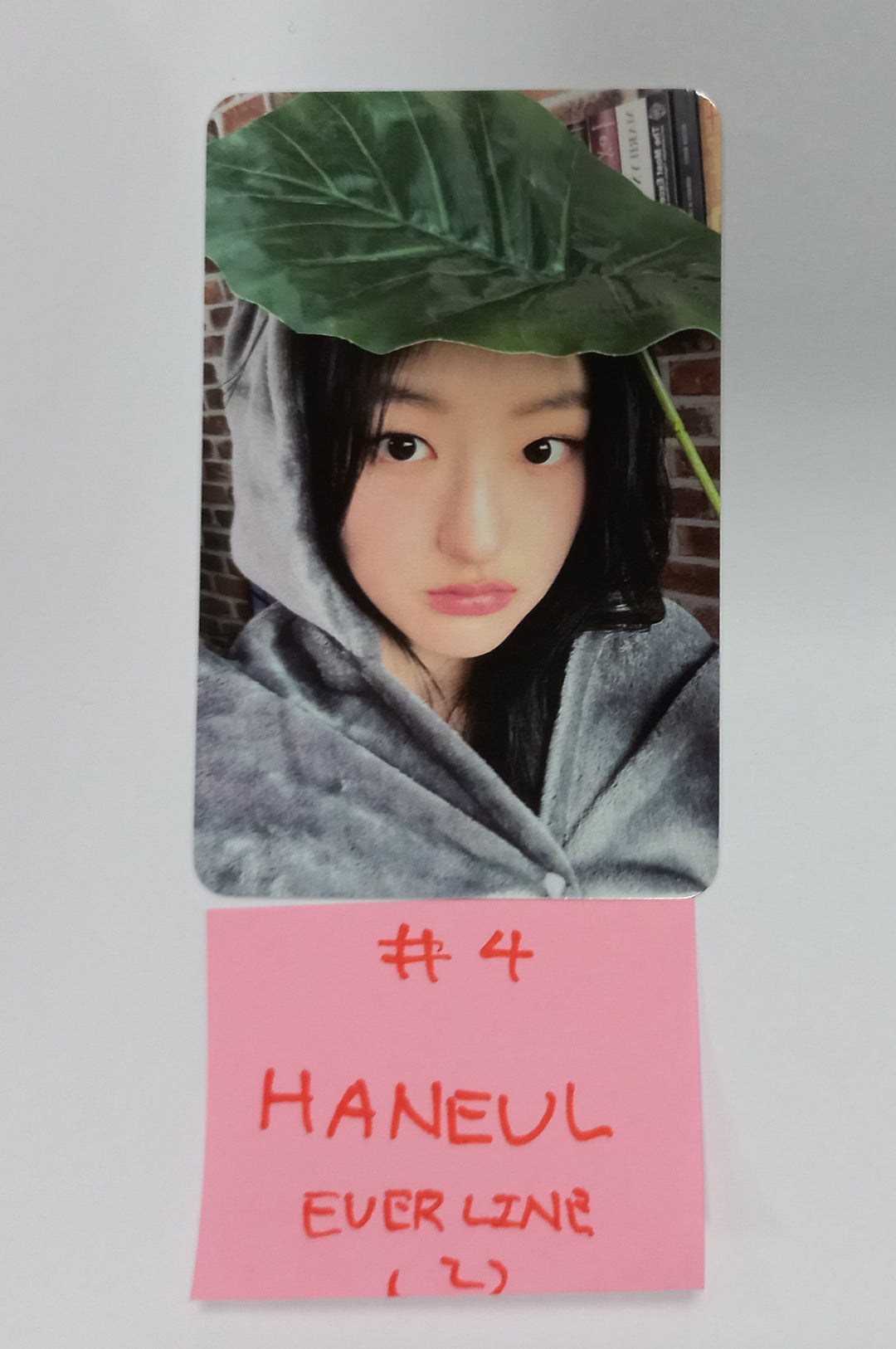 KISS OF LIFE "Midas Touch" - Everline Fansign Event Photocard [24.4.30] - HALLYUSUPERSTORE