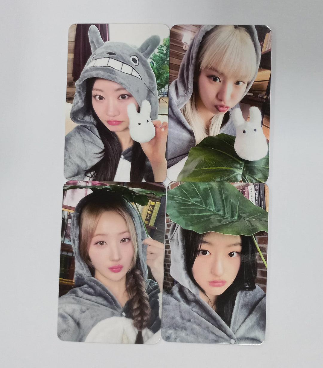 KISS OF LIFE "Midas Touch" - Everline Fansign Event Photocard [24.4.30] - HALLYUSUPERSTORE