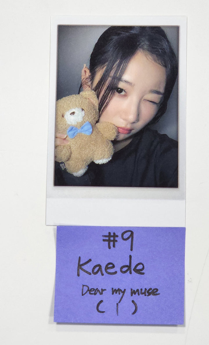 tripleS "ASSEMBLE24" - Dear My Muse Pre-Order Benefit Polaroid Type Photocard [24.5.22] - HALLYUSUPERSTORE