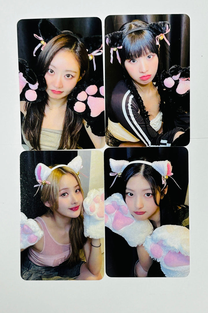 KISS OF LIFE "Midas Touch" - Hello Live Fansign Event Photocard Round 2 [24.6.7] - HALLYUSUPERSTORE