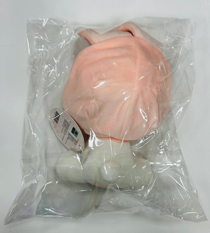 VIVIZ - 2024 CONCERT OFFICIAL MD [Plush Doll, Plush Keyring, Light stick Cover] [24.6.13] - HALLYUSUPERSTORE