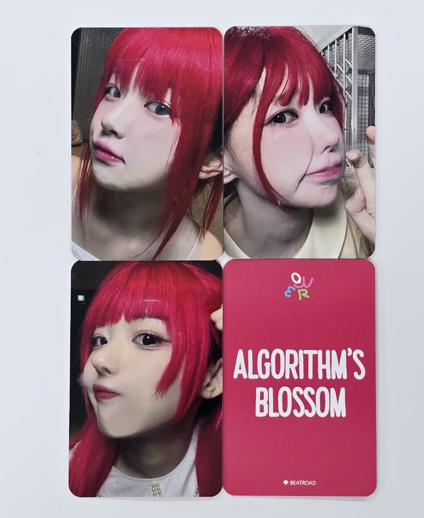 QWER "Algorithm&